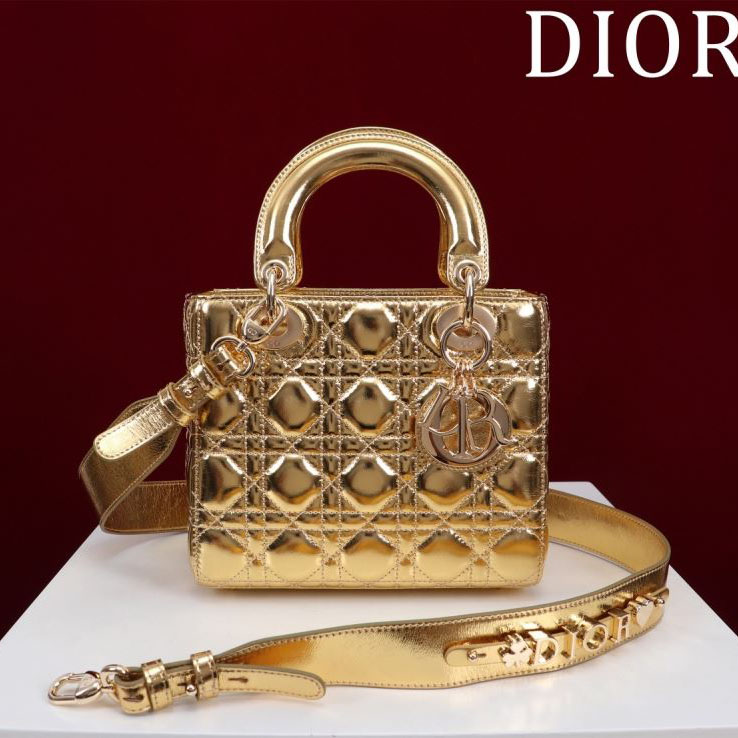 chr1st1an D10r my lady bags